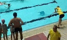 爆料八里营游泳池事件视频,真相与争议交织